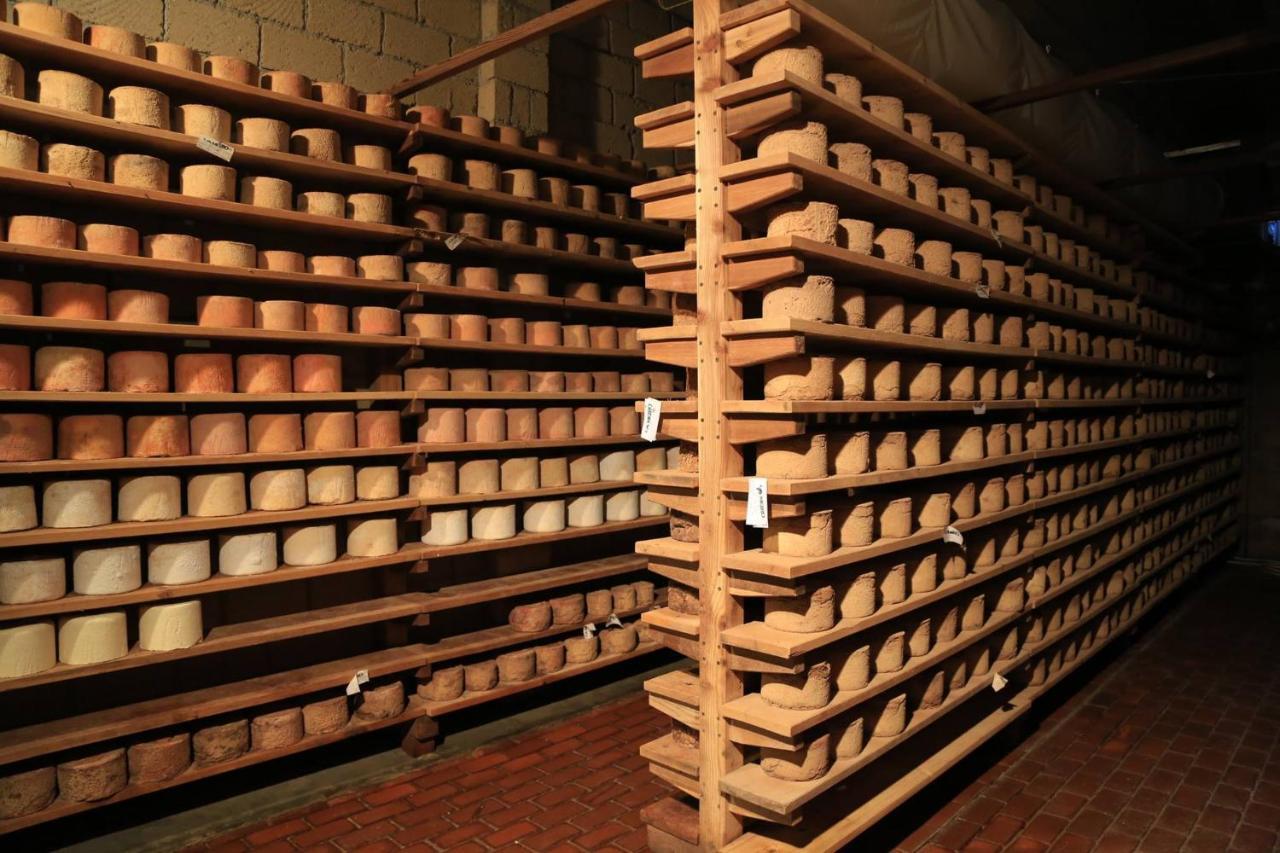 La Meiro Castelmagno Εξωτερικό φωτογραφία